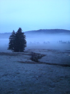 Stille