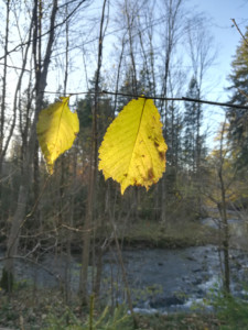 zeit für natur